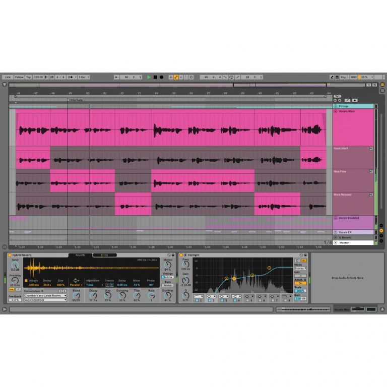 Ableton Live 11 Suite EDU (Educational Version)