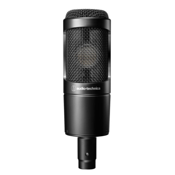 Large-diaphragm Condenser Microphone with Low-cut Filter, 10dB Pad, Cardioid Pickup Pattern, and Custom Shockmount