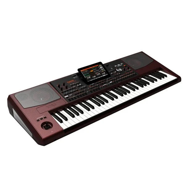 korg-pa1000-side