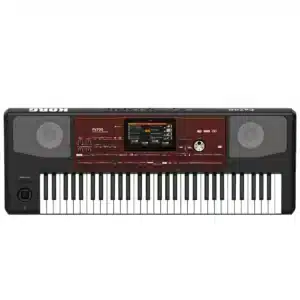 Korg Pa700 61-key Arranger Workstation