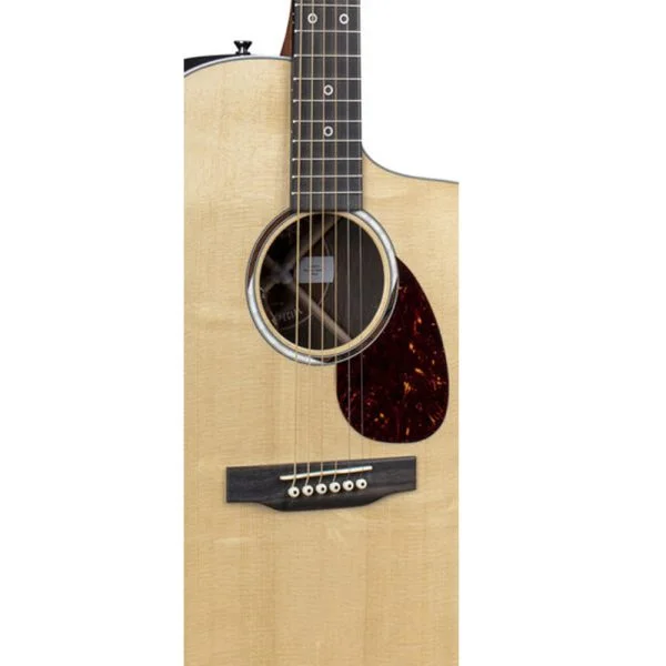 martin-sc13e-special