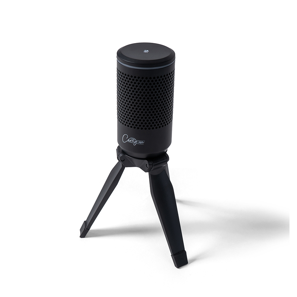 Carry-on Foldable USB Microphone - Black