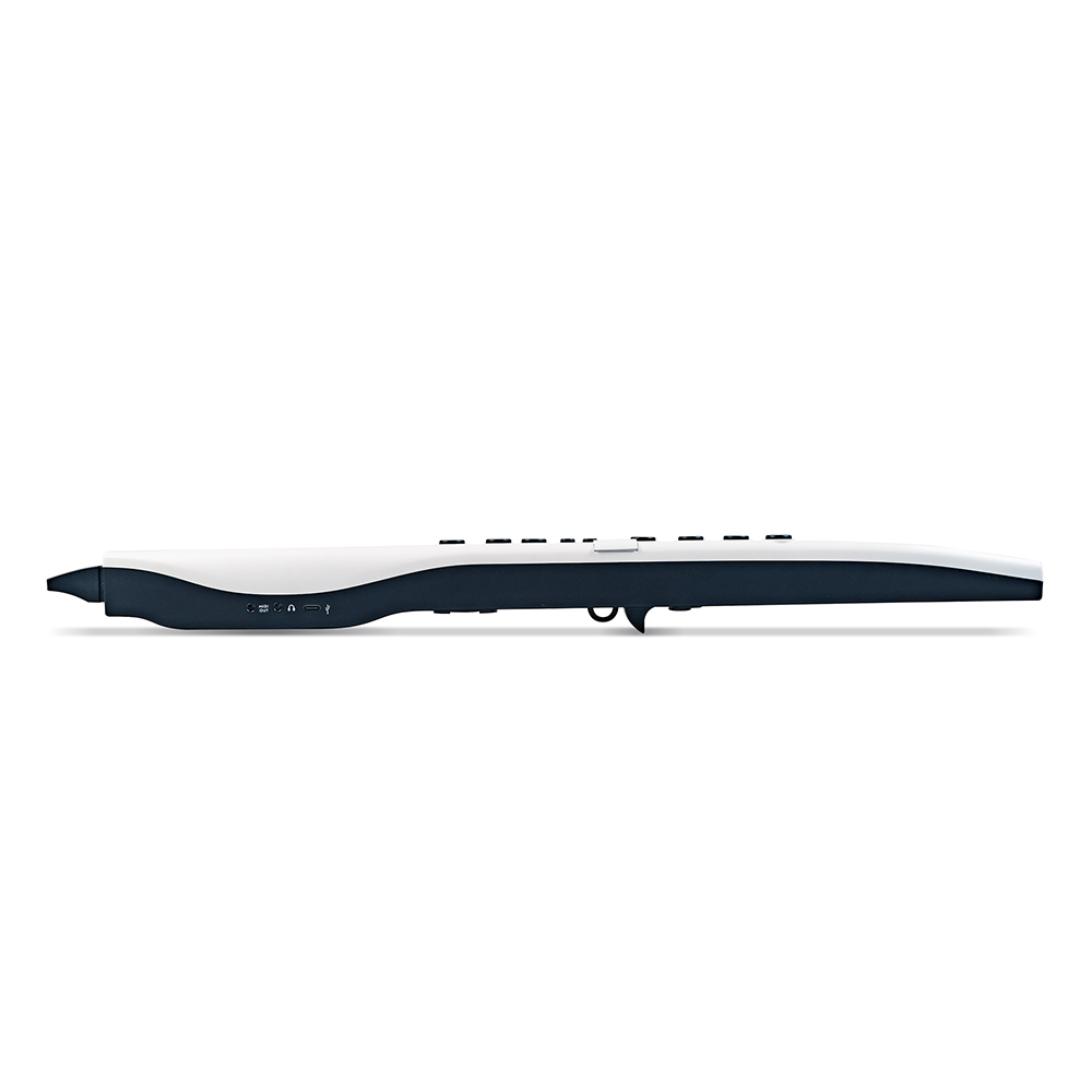 Carry-on Digital Wind Instrument Pro
