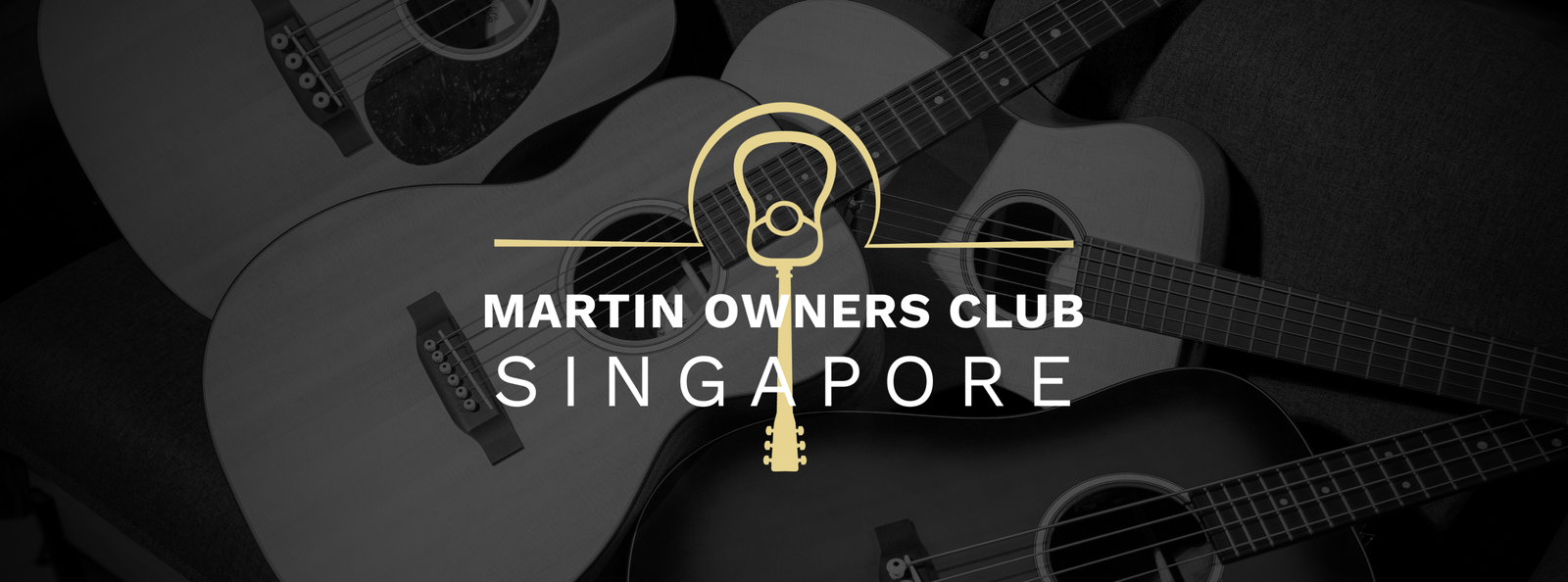 atome profile cover PWP Guitars 4 cropped 1 scaled