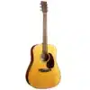 Acoustic-electric Guitar with Spruce Top, Sapele Back and Sides, Hardwood Neck, and Ebony Fingerboard