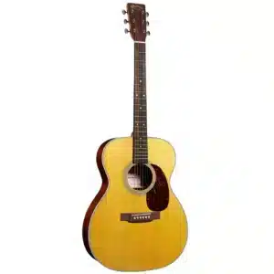 Acoustic-electric Guitar with Spruce Top, Walnut Back and Sides, Hardwood Neck, and Ebony Fingerboard