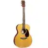 Acoustic-electric Guitar with Spruce Top, Granadillo Back and Sides, Select Hardwood Neck, and Ebony Fingerboard